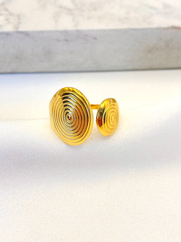 Anillo Doble Espiral Acero