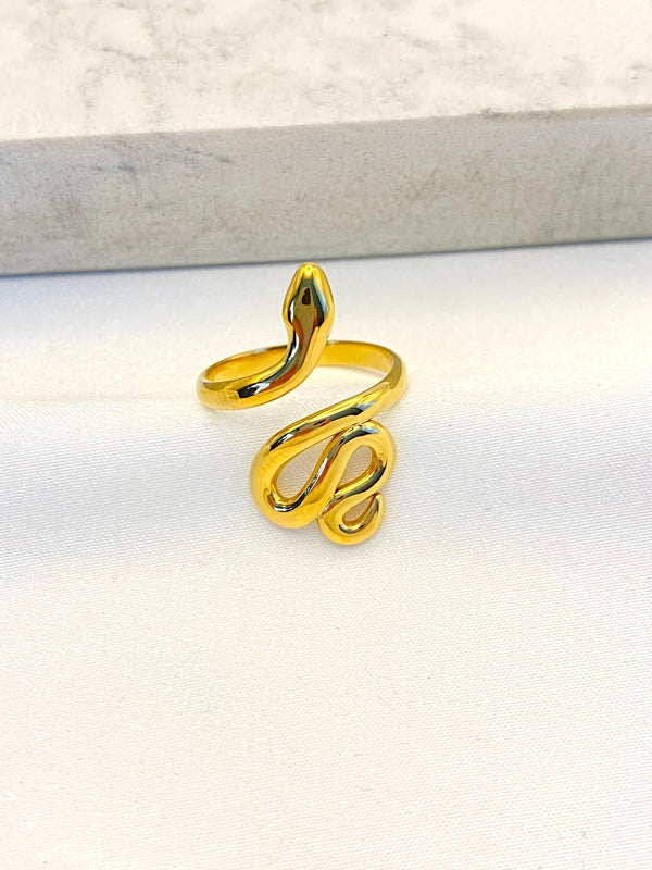 Anillo Serpiente Acero