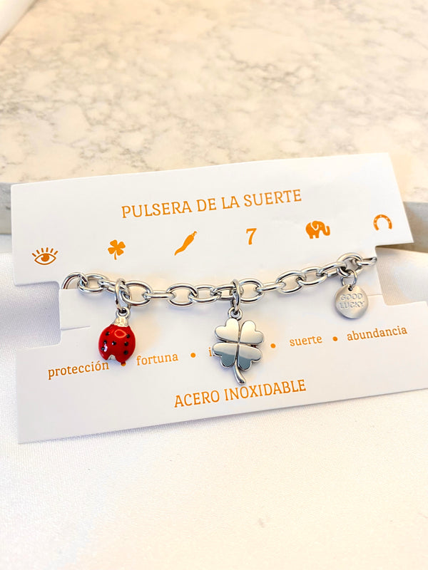 Pulsera Dijes de la Suerte Plateada Acero
