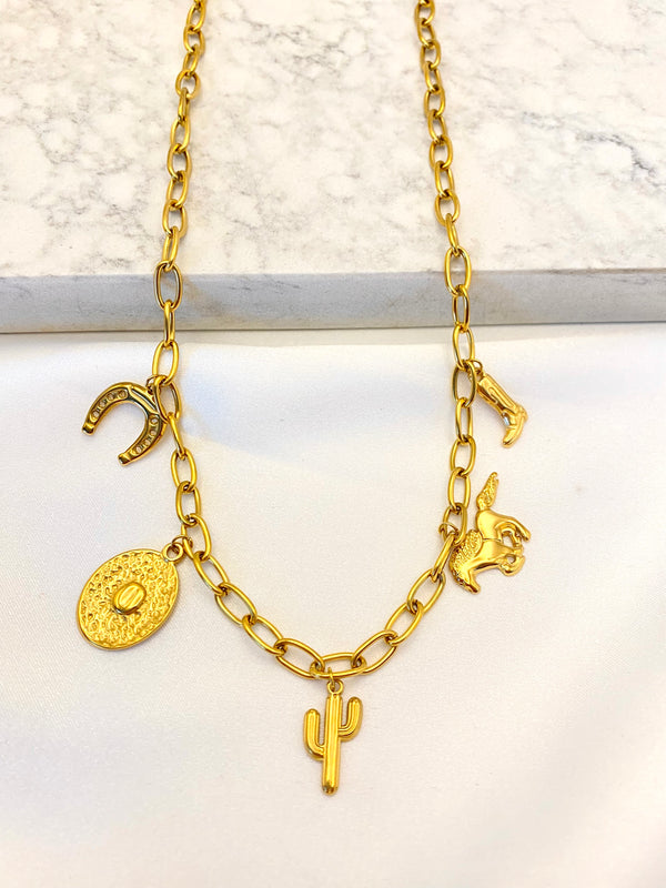 Collar Dijes Vaqueros Acero