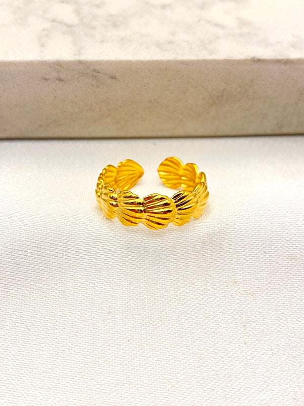 Anillo Conchitas Seguidas Acero